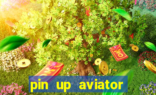 pin up aviator promo code